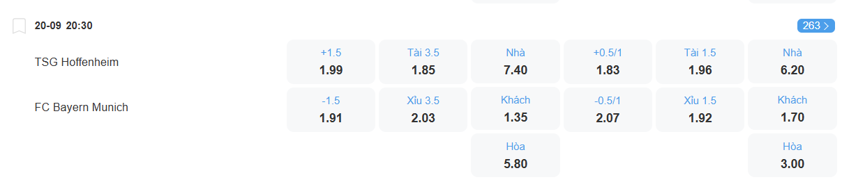 Tỉ lệ kèo Hoffenheim vs Bayern nhan-dinh-soi-keo-hoffenheim-vs-bayern-luc-20h30-ngay-20-9-2025-2